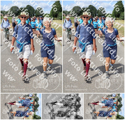 Evenement foto: Nijmeegse Vierdaagse 1060