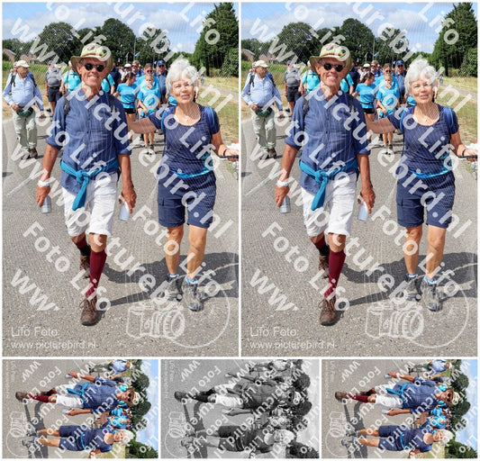 Evenement foto: Nijmeegse Vierdaagse 1060