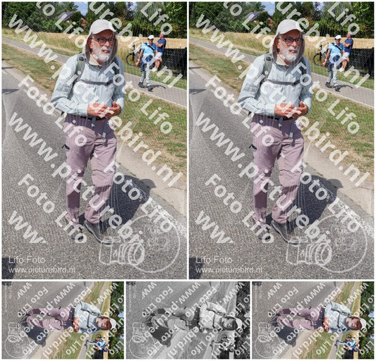 Evenement foto: Nijmeegse Vierdaagse 1060