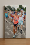 Evenement foto: Nijmeegse Vierdaagse 1060