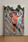 Evenement foto: Nijmeegse Vierdaagse 1060
