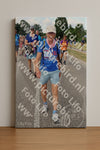 Evenement foto: Nijmeegse Vierdaagse 1060