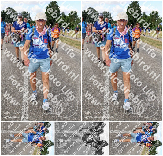 Evenement foto: Nijmeegse Vierdaagse 1060