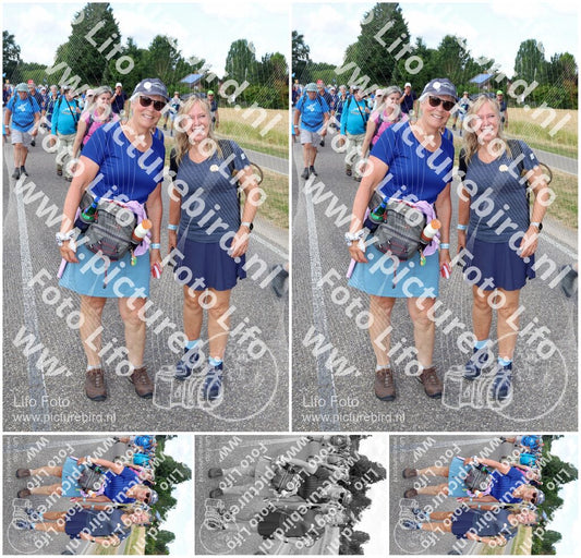 Evenement foto: Nijmeegse Vierdaagse 1060