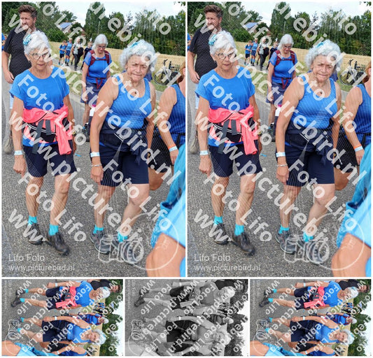 Evenement foto: Nijmeegse Vierdaagse 1060