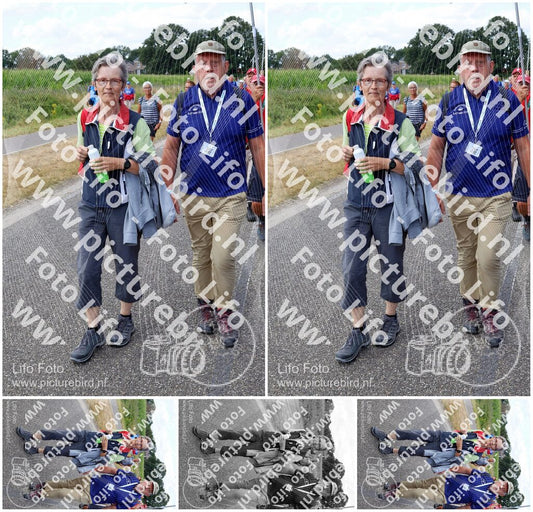 Evenement foto: Nijmeegse Vierdaagse 1060