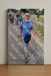 Evenement foto: Nijmeegse Vierdaagse 1060