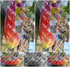 Evenement foto: Oudorp 1