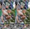 Evenement foto: Oudorp 1