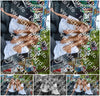 Evenement foto: Oudorp 1