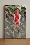 Evenement foto: Nijmeegse Vierdaagse 999