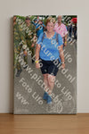 Evenement foto: Nijmeegse Vierdaagse 998