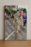 Evenement foto: Nijmeegse Vierdaagse 998