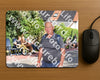 Evenement foto: Nijmeegse Vierdaagse 997