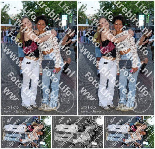 Evenement foto: Nijmeegse Vierdaagse 1016