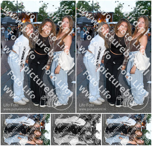 Evenement foto: Nijmeegse Vierdaagse 1016