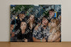 Evenement foto: Nijmeegse Vierdaagse 1016