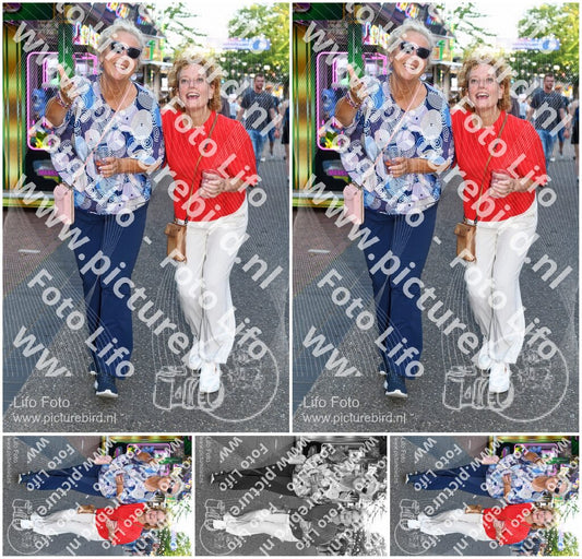 Evenement foto: Nijmeegse Vierdaagse 1015