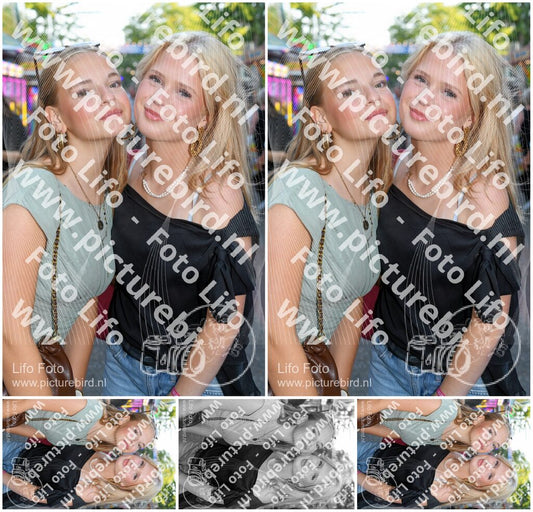 Evenement foto: Nijmeegse Vierdaagse 1015