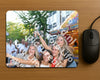 Evenement foto: Nijmeegse Vierdaagse 1015