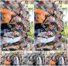 Evenement foto: Nijmeegse Vierdaagse 1014