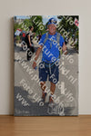 Evenement foto: Nijmeegse Vierdaagse 1010