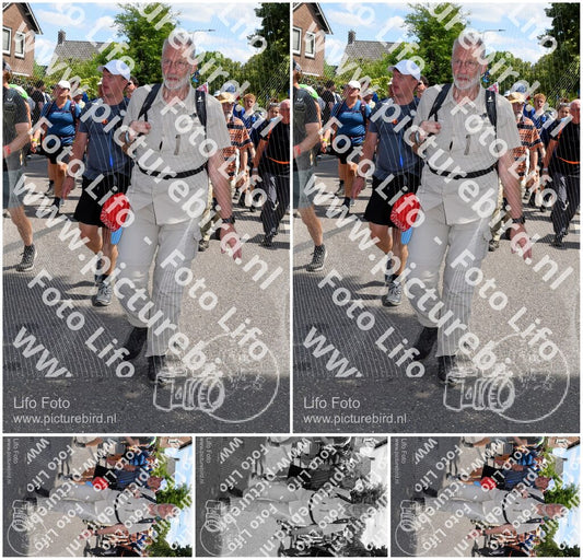 Evenement foto: Nijmeegse Vierdaagse 1010