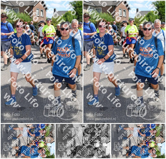 Evenement foto: Nijmeegse Vierdaagse 1010