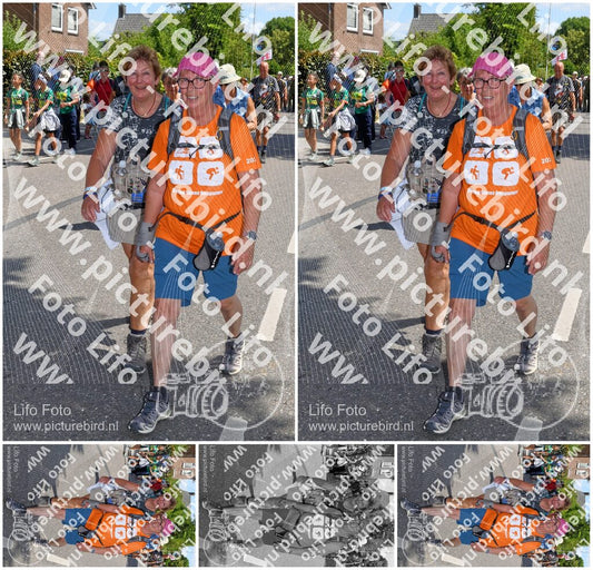 Evenement foto: Nijmeegse Vierdaagse 1010
