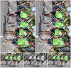 Evenement foto: Nijmeegse Vierdaagse 1010