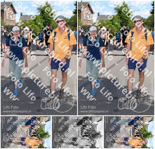 Evenement foto: Nijmeegse Vierdaagse 1010