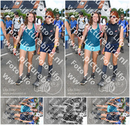 Evenement foto: Nijmeegse Vierdaagse 1009