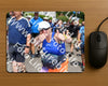 Evenement foto: Nijmeegse Vierdaagse 1009