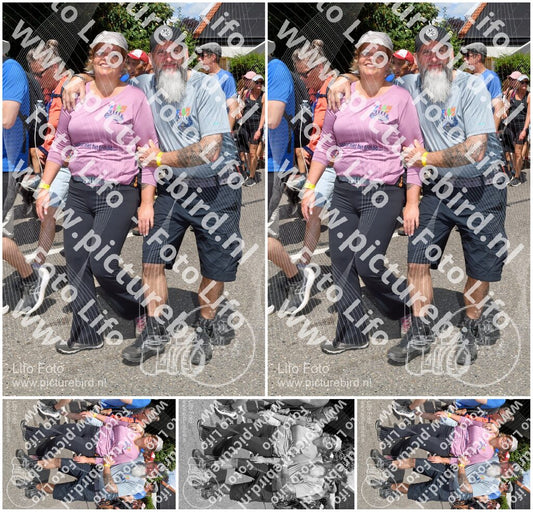 Evenement foto: Nijmeegse Vierdaagse 1008