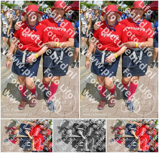 Evenement foto: Nijmeegse Vierdaagse 1008