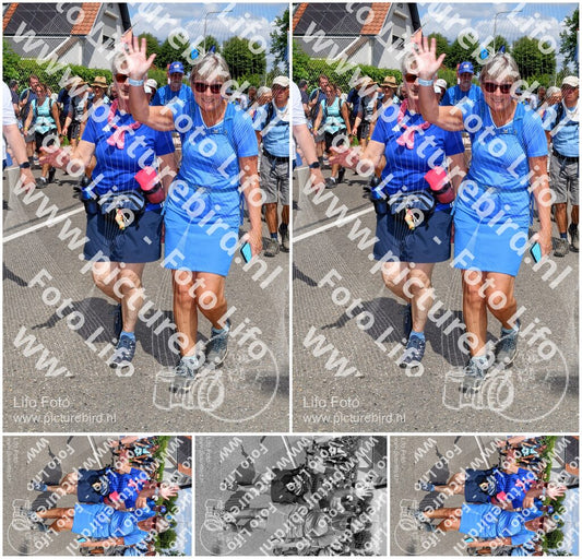 Evenement foto: Nijmeegse Vierdaagse 1008
