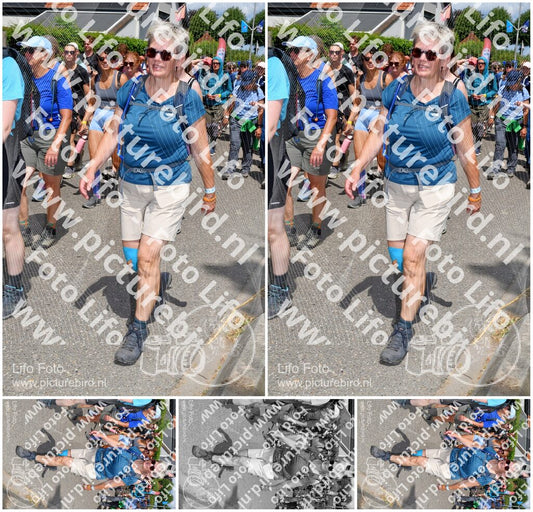 Evenement foto: Nijmeegse Vierdaagse 1008