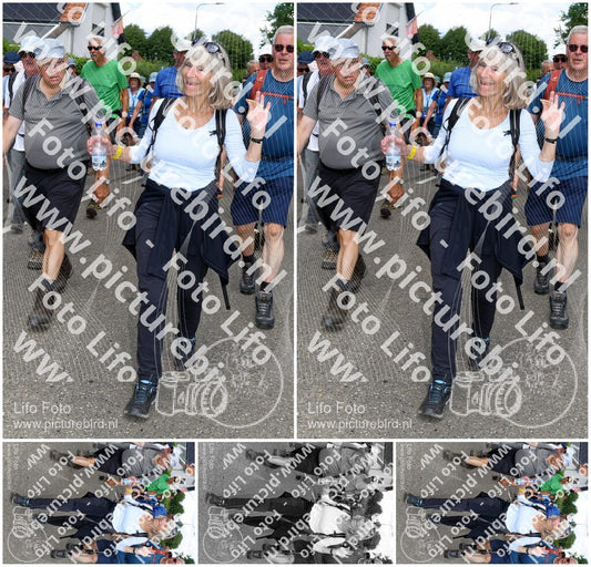 Evenement foto: Nijmeegse Vierdaagse 1008