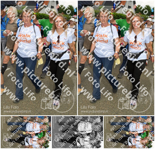 Evenement foto: Nijmeegse Vierdaagse 1008