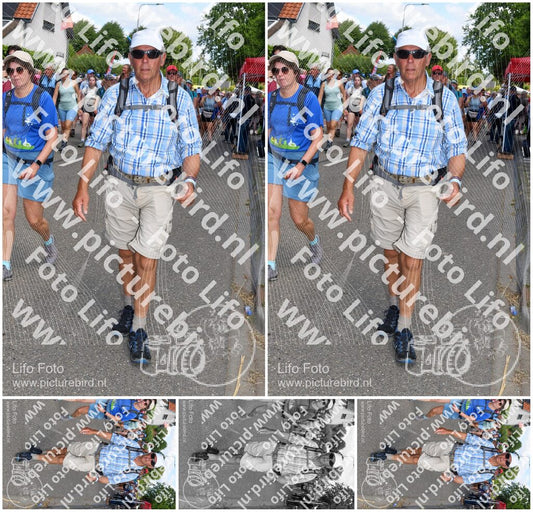 Evenement foto: Nijmeegse Vierdaagse 1007