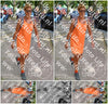 Evenement foto: Nijmeegse Vierdaagse 1006