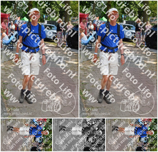 Evenement foto: Nijmeegse Vierdaagse 1006