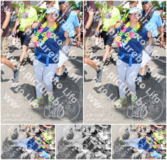Evenement foto: Nijmeegse Vierdaagse 1006