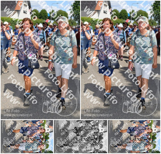 Evenement foto: Nijmeegse Vierdaagse 1006