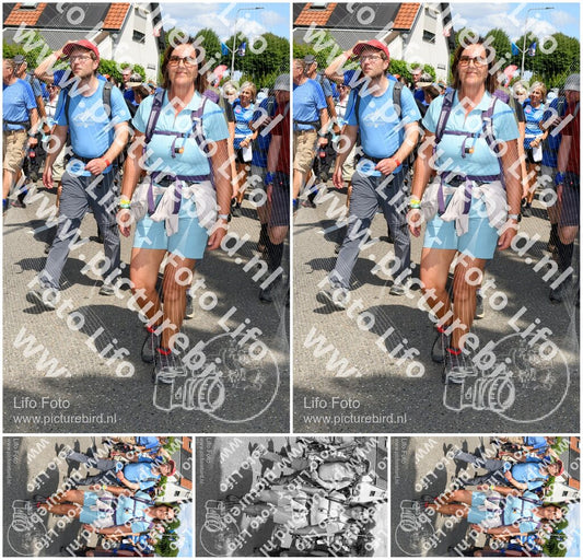 Evenement foto: Nijmeegse Vierdaagse 1006