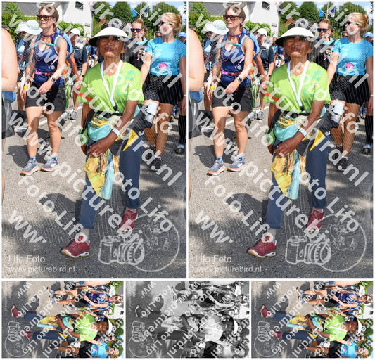 Evenement foto: Nijmeegse Vierdaagse 1006