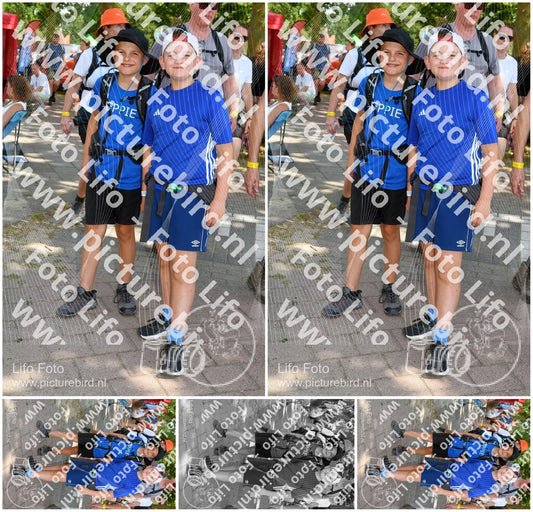 Evenement foto: Nijmeegse Vierdaagse 1006