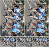 Evenement foto: Nijmeegse Vierdaagse 1006