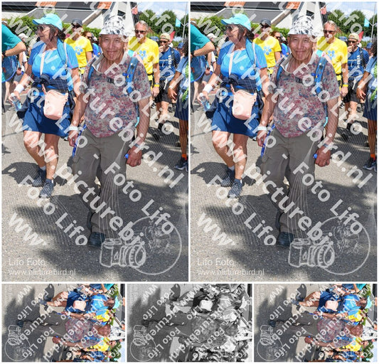 Evenement foto: Nijmeegse Vierdaagse 1006
