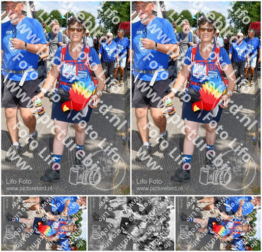Evenement foto: Nijmeegse Vierdaagse 1006